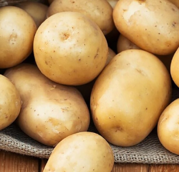 Как получить семена картофеля в домашних условиях из бульбочек (ягод)