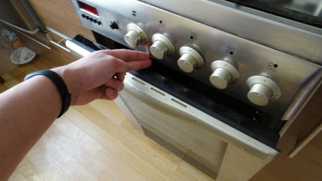 Как правильно высушить шиповник в духовке: газовой, электрической