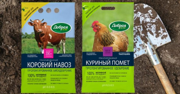 Подготовка грядок осенью — 5 шагов для богатого урожая