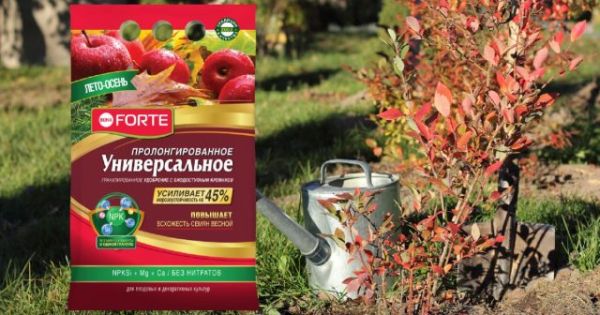 Подготовка грядок осенью — 5 шагов для богатого урожая