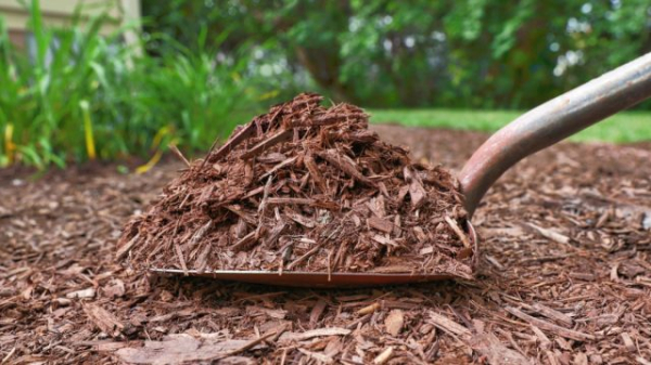 Нужно ли перекапывать почву и какие есть альтернативы?
