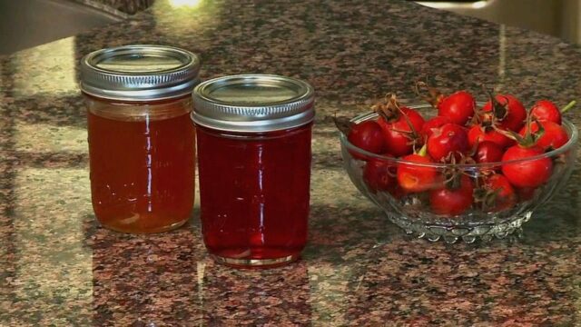 Сироп шиповника: полезные свойства и противопоказания, инструкция по применению