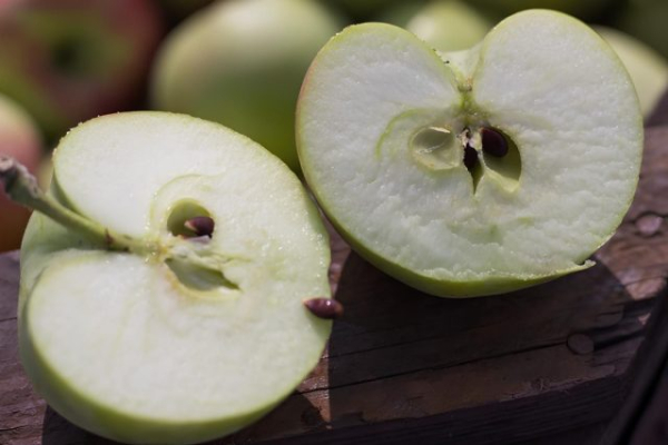 3 лучших сорта яблонь, которые заменят вам все остальные