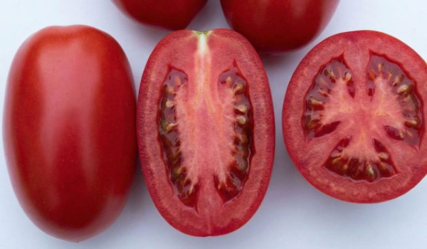 6 самых живучих и урожайных сортов томатов, которые я советую