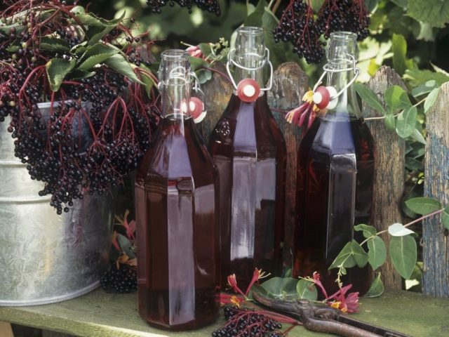 Как сделать настойку из черемухи на спирте, водке в домашних условиях