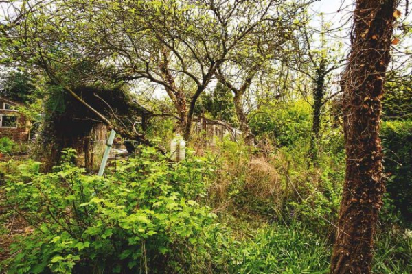 Как дача может испортить вам жизнь? И что с этим делать